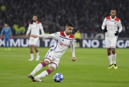 的粉丝和波 的粉丝和波