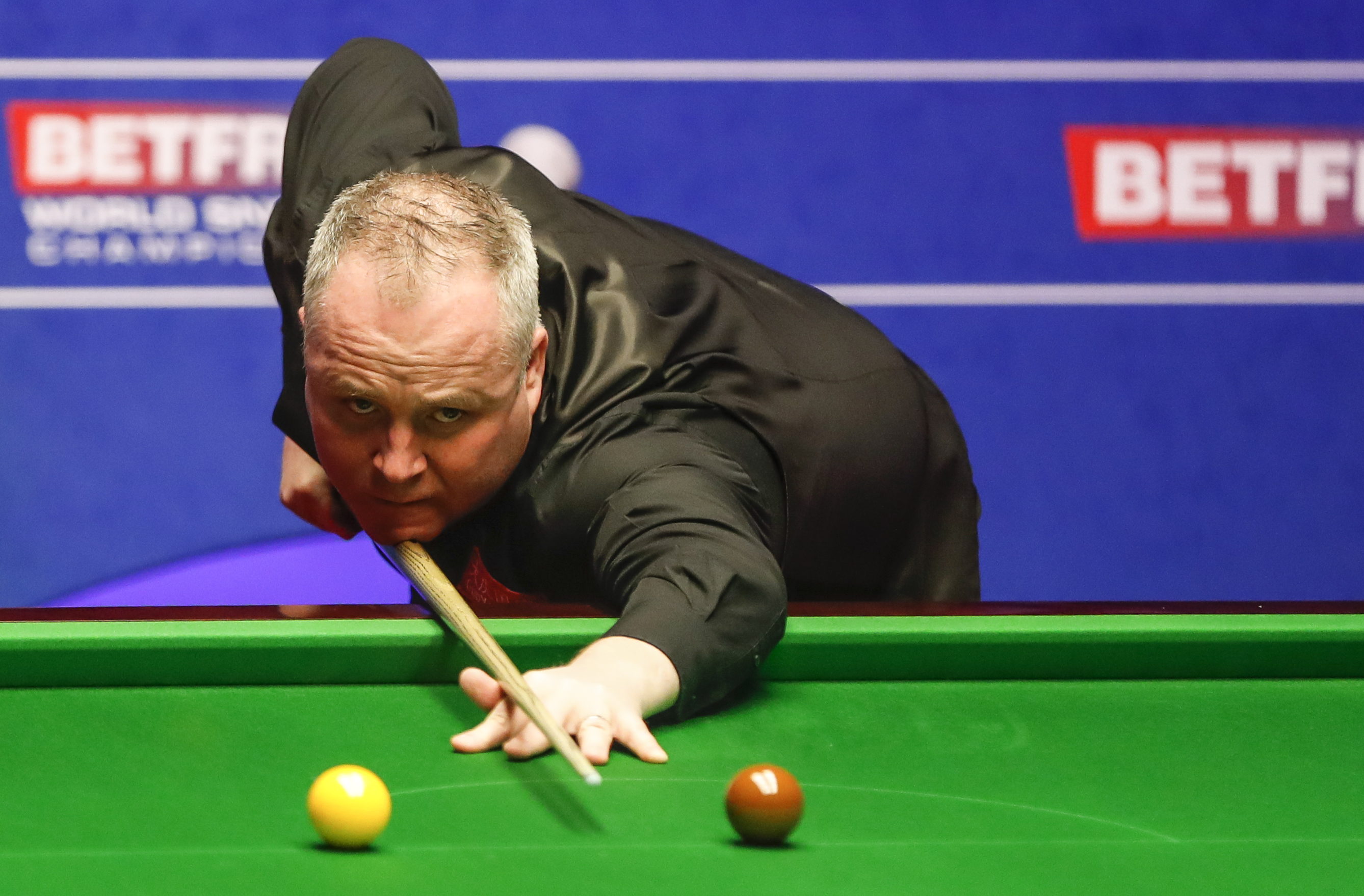 身体机能的 身体机能的