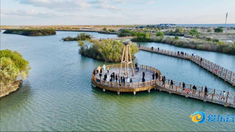 进一步优化 进一步优化